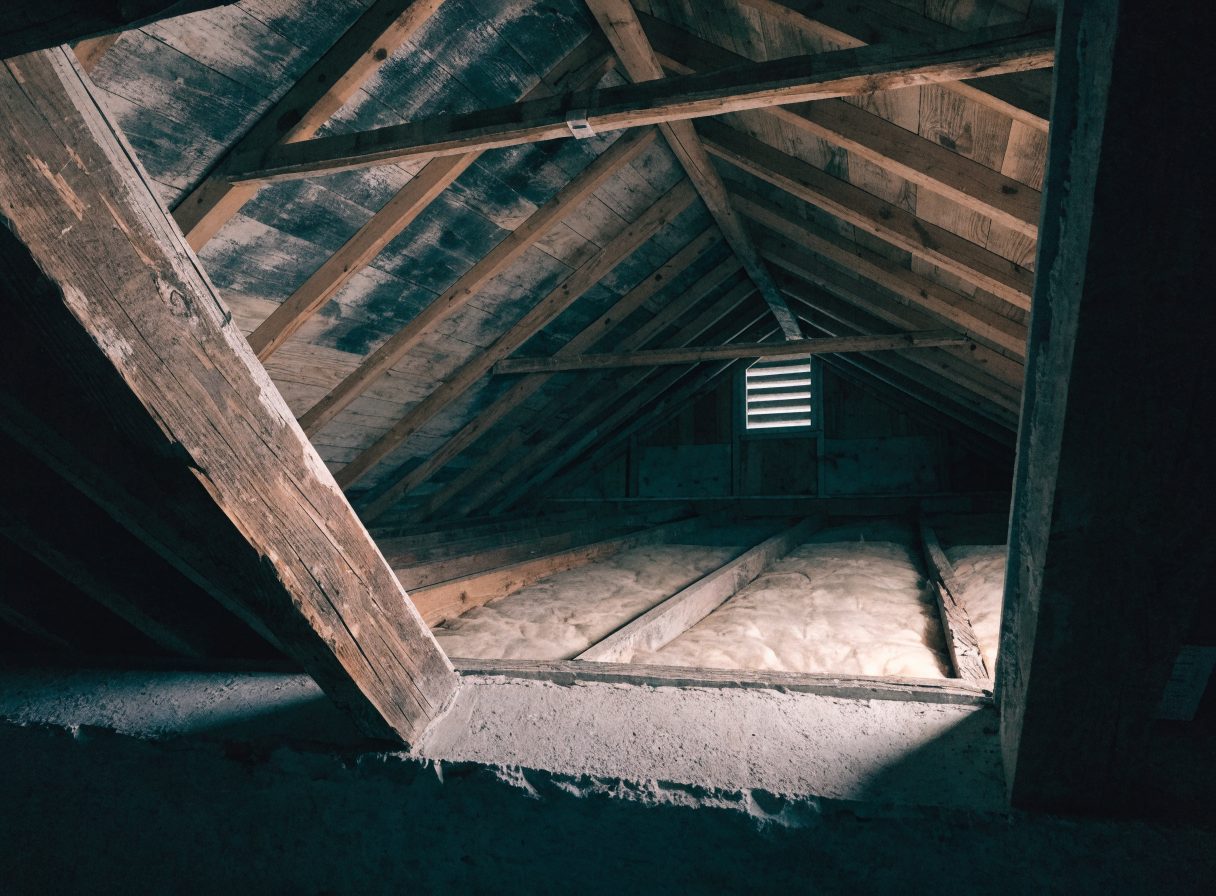 Attic Mold